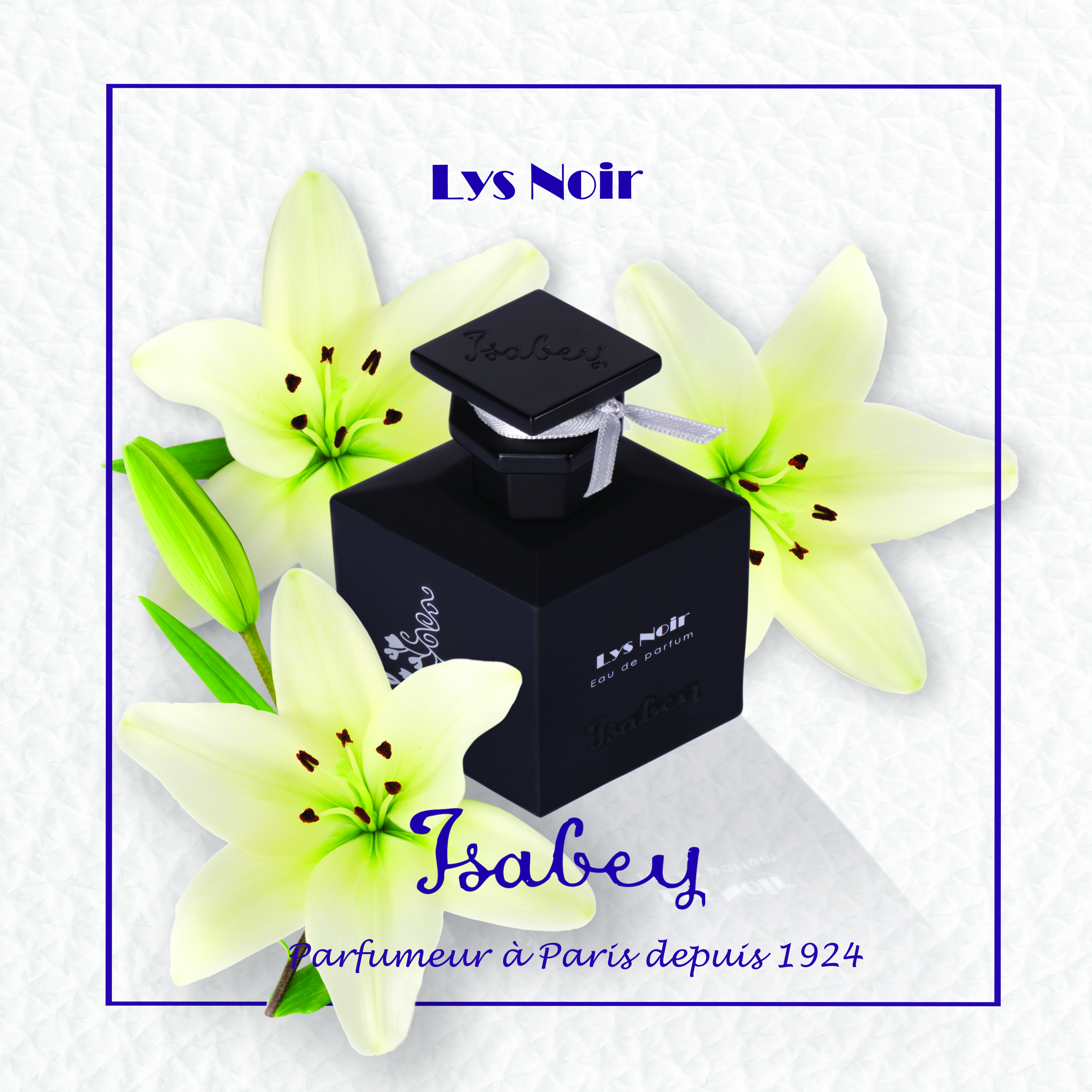 lys-noir-visuel-carre-30-x-30-cm66mQZyMnoay5P